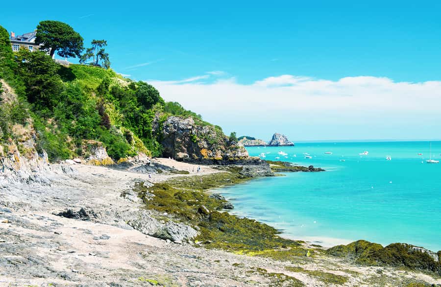 Monterey, Carmel, 17 Mile Dr, Big Sur & Mcway Falls Pvt Tour - Exploring Carmel By The Sea’s Artistic Streets and Beaches