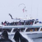 Monterey: Whale Watching Tour with A Marine Guide - Starting Point and How to Find the Boat