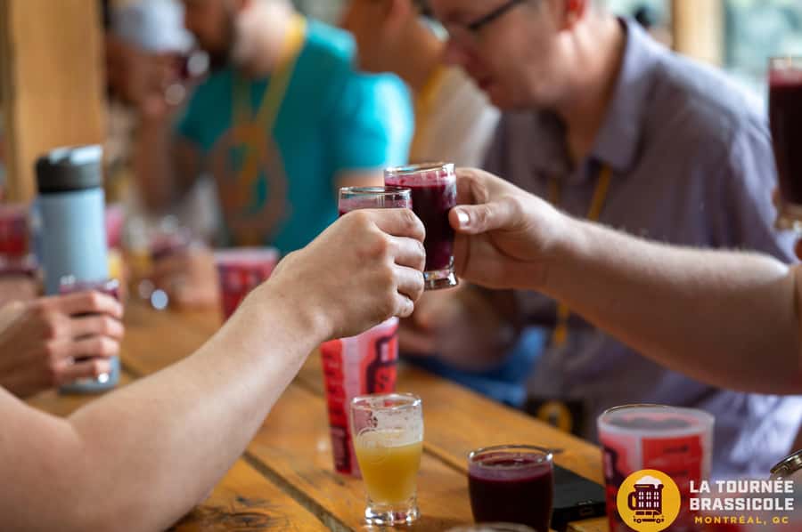 Montreal: Craft Beer Tour with Tastings and Snack - Starting Point in Downtown Montreal and Microbrewery Visits