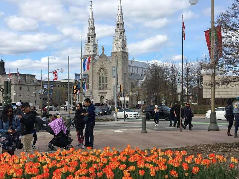 Montreal: Private Day Tour to Ottawa - Comfortable Pickup and Scenic Drive to Ottawa