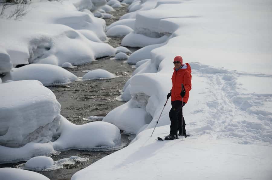 Monts-Valin National Park: Snowshoe Rental & Entry Ticket - How to Access Monts-Valin National Park for Snowshoeing