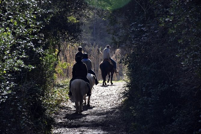 Montserrat Horseback Riding & Monastery Small Group Tour - Unique Experience of Horseback Riding in Montserrat