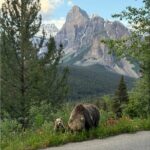 Moraine Lake, Lake Louise Afternoon Tour Half day From Banff - Visiting Moraine Lake: What to Expect at the Iconic Spot