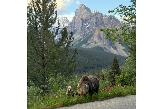 Moraine Lake, Lake Louise Afternoon Tour Half day From Banff - Visiting Moraine Lake: What to Expect at the Iconic Spot