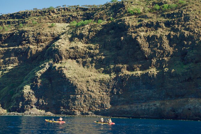 Morning Magic Kayak and Snorkel Adventure in Kealakekua Bay - Starting Point at Kona Boys and Meeting Details