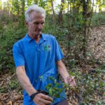 Morning or Afternoon Palehua Ridge Hike - Wildlife and Vegetation on the Trail