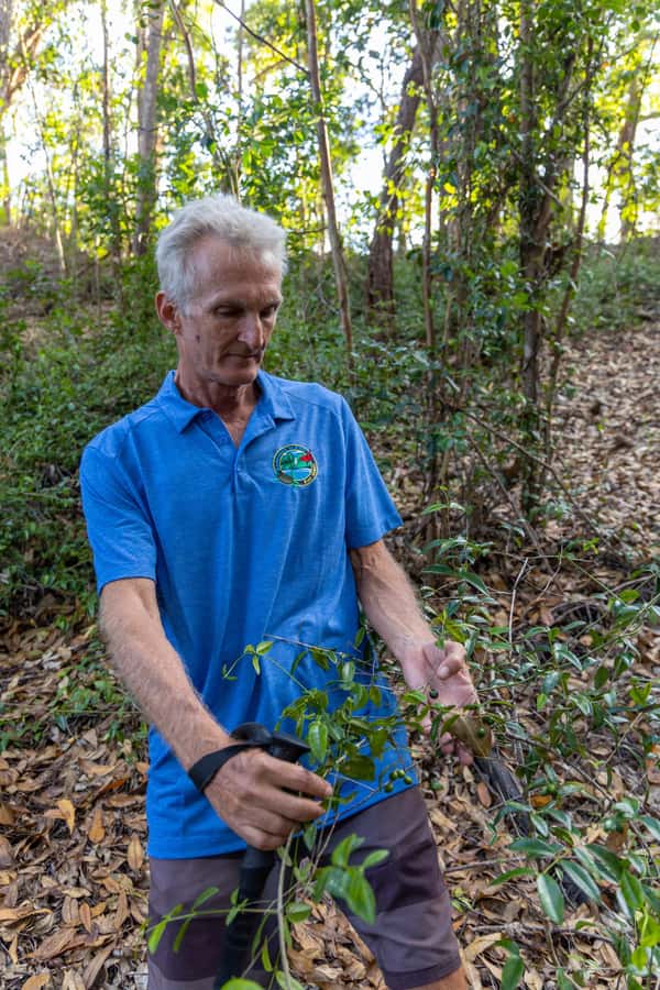 Morning or Afternoon Palehua Ridge Hike - Wildlife and Vegetation on the Trail