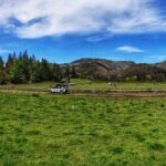 Motorcycle Full day Madeira island West Tour (Self-guided) - Visiting Câmara de Lobos: A Historic Fishing Village