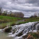 Motovun Area Hiking Tour with a Historian - Discovering the Hilltop Walled Medieval City of Motovun