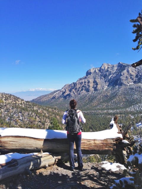 Mount Charleston Driving Adventure: Escape to Nature - The Route from Neon Lights to Mountain Serenity