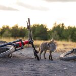 Mount Etna: All around on E-bike - Starting Point and Transportation Arrangements