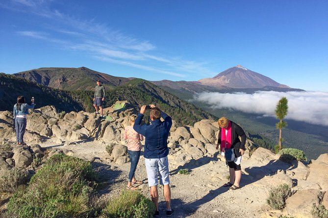Mount Teide and Tenerife North with Food & Wine Tasting Private Tour - Descending into La Orotava Valley