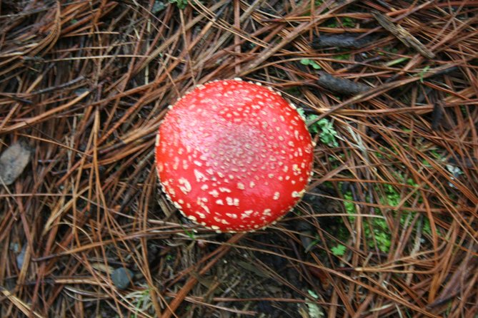 Mountaineering Malinche (4,460 meters) - The Scenic Drive from Mexico City to Malinzin