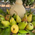 Mozzarella Experience - Starting Point and Timing for the Mozzarella Experience