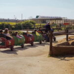 Mozzarella experience: discovering the art of cheese making - Inside the Dairy: Watching Mozzarella Come to Life