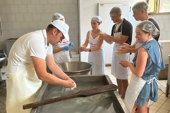 Mozzarella Experience with Tasting in Vico Equense - The Historic Dairy in Vico Equense with Family Roots