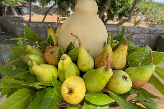 Mozzarella Experience - Starting Point and Timing for the Mozzarella Experience