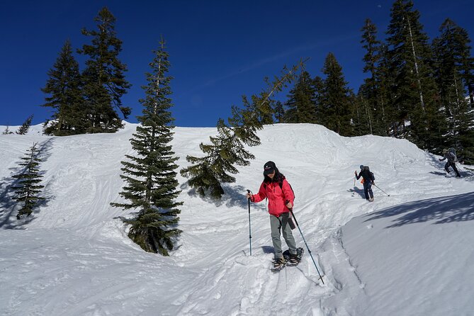 Mt. Shasta Snowshoeing Tours - The Scenic Location of Mt. Shasta for Snowshoeing
