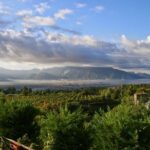 Mt. Vesuvius Wine Tasting and Lunch Experience from Pompeii - Vineyard Walk and Views Over the Gulf of Naples