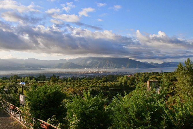 Mt. Vesuvius Wine Tasting and Lunch Experience from Pompeii - Vineyard Walk and Views Over the Gulf of Naples