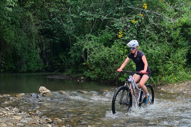 MTB Bike Tour: Monkey Tree + Tule Tree - Cycling from Oaxaca City to Santa Maria del Tule