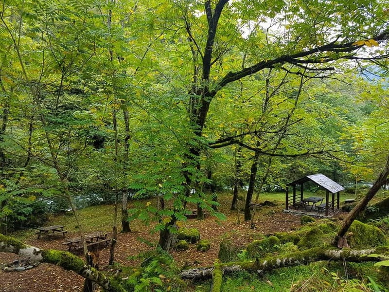 Mtirala National Park 2-Day Guided Hiking Tour from Kutaisi - How the Tour Begins: Pickup and Transfer to Mtirala