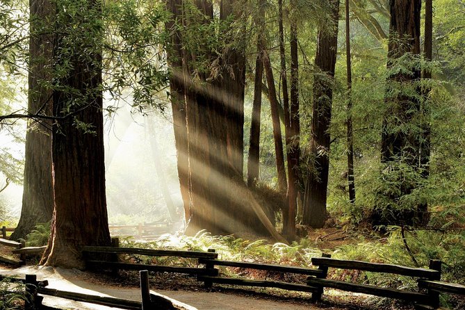 Muir Woods & Napa-8hr-Private Scenic Wine Tour From San Francisco - San Francisco Pickup and Scenic Drive to Muir Woods and Golden Gate Bridge