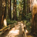 Muir Woods Visit & Golden Gate Bridge Bike Ride - Starting Point and Transportation Details