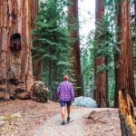 Muir Woods & Wine Tour: Redwoods & Tastings at 3 Wineries - Muir Woods: Walking Among Giants