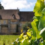 Multi Day Private Tour Prestige Burgundy with 12 Premiers & Grands Crus - Starting from Dijon: An Exclusive Two-Day Itinerary