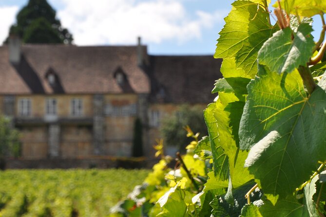 Multi Day Private Tour Prestige Burgundy with 12 Premiers & Grands Crus - Starting from Dijon: An Exclusive Two-Day Itinerary