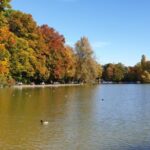 Munich: City Highlights Guided Segway Tour - Navigating Munich’s Historic and Cultural Landmarks