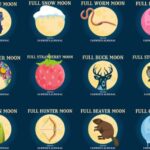 Murrells Inlet by Moonlight: Legends & Lores of the Inlet - Scenic Nighttime Cruise Through Murrells Inlets Saltwater Marshes