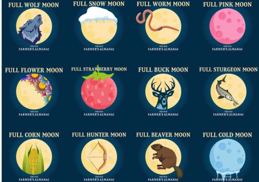 Murrells Inlet by Moonlight: Legends & Lores of the Inlet - Scenic Nighttime Cruise Through Murrells Inlets Saltwater Marshes