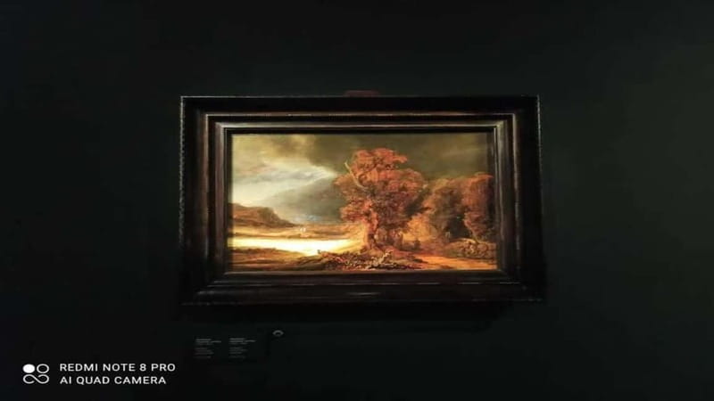 Museo Czartorisky : Visita in Lingua Italiana salta fila - Visiting the Czartoryski Museum: Focus on "Lady with an Ermine"