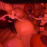 Museum of Sex NYC Admission Ticket - The Galleries and Artifacts of the Museum of Sex