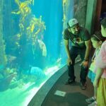 Museum Row Tour: Space, Dinosaurs and Sports at Exposition Park - Exploring the Los Angeles Memorial Coliseum