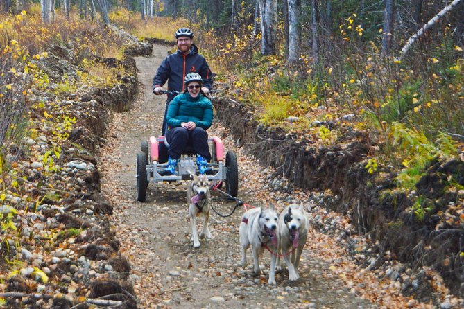 Mush Your Own Sled Dog Team (Summer/Fall Tour) - Engaging and Educational Sled Dog Demonstrations