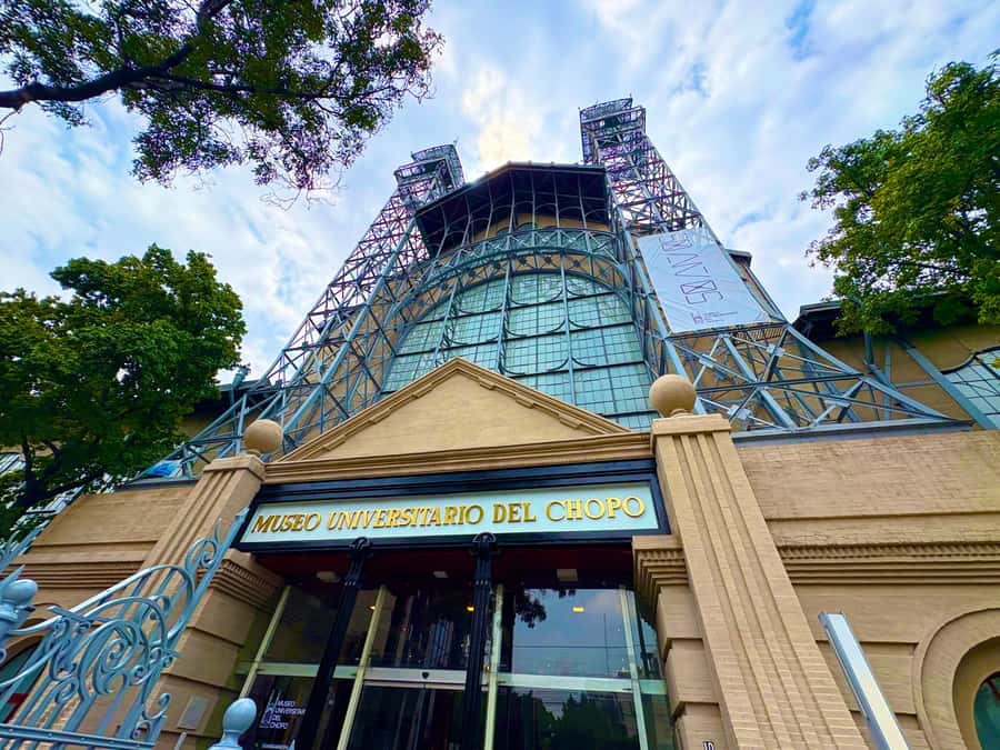 MX: Vasconcelos Library & Santa María la Ribera Neighborhood - Starting at El Califa de León: Meeting Point for the Santa María la Ribera Tour