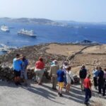 Mykonos: Guided Highlights Tour - Discover Kalafatis Beach and Its Serenity