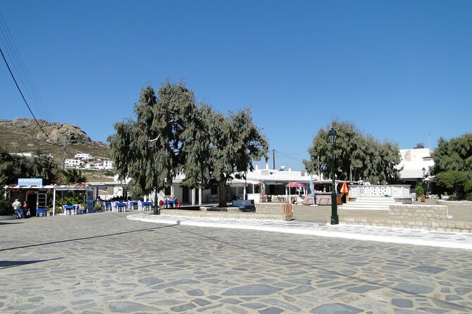 Mykonos Highlights by a local - Visiting Armenistis Lighthouse and Its Surroundings