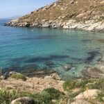 Mykonos Safari Island Tour - According To The Locals - Pickup and Meeting Point at Fabrika Bus Station