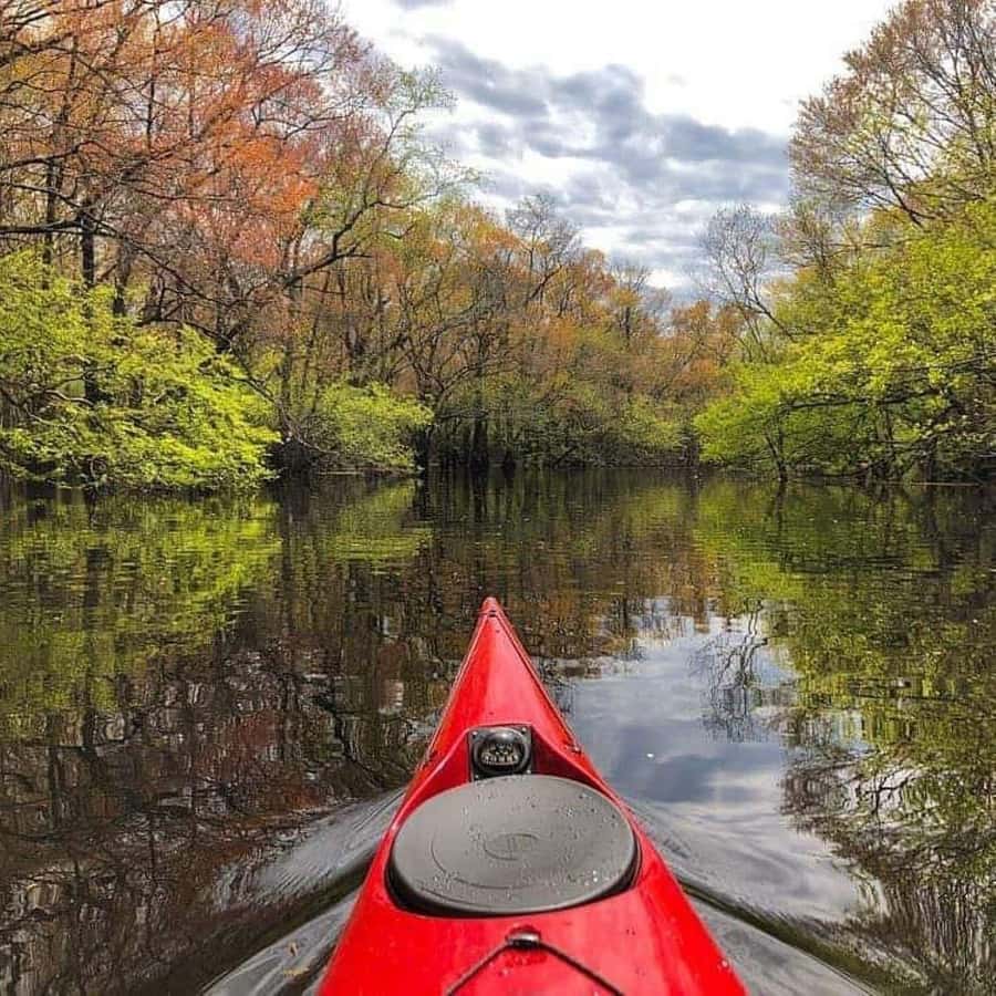 Myrtle Beach: Waccamaw River Kayak Island Tour - Starting Point at the River Island Outpost in Myrtle Beach