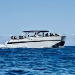 Na Pali Coast Power Catamaran - Na Pali Coast Power Catamaran: A Top Choice for Coastal Exploration