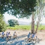 Napa Valley: Guided Winery E-Bike Tour - The Route and Scenery of Napa Valley on E-Bikes