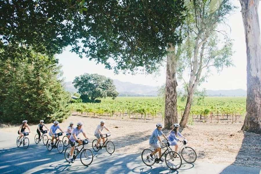 Napa Valley: Guided Winery E-Bike Tour - The Route and Scenery of Napa Valley on E-Bikes