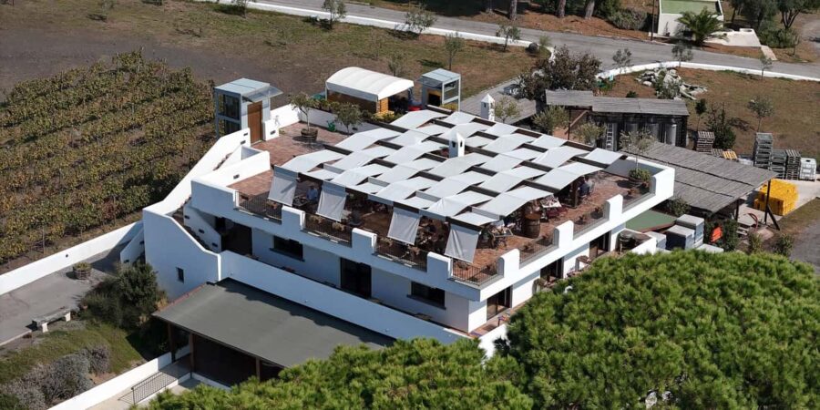 Naples: Guided Walking Tour with Lunch and Wine Tasting - Scenic Viewpoint at Posillipo and Mergellina