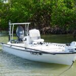 Naples Half-Day Fly Fishing Activity - Included Gear and Licensing for a Hassle-Free Experience