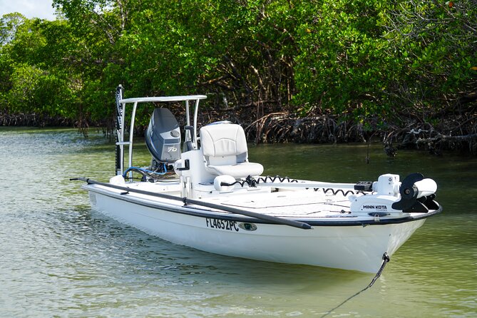 Naples Half-Day Fly Fishing Activity - Included Gear and Licensing for a Hassle-Free Experience