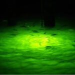 Naples Night Fishing Trips - Night Fishing in Naples: A Different Perspective on Local Waters